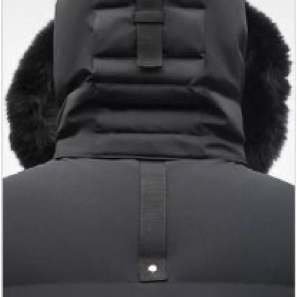 AUTHENTIC Moose Knuckles STAGG BOMBER NEOSHEAR - Picture 4 of 6